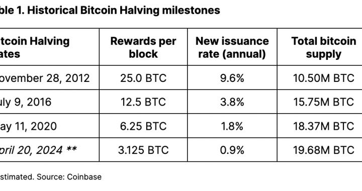 Bitcoin Halving 2024: this time is different