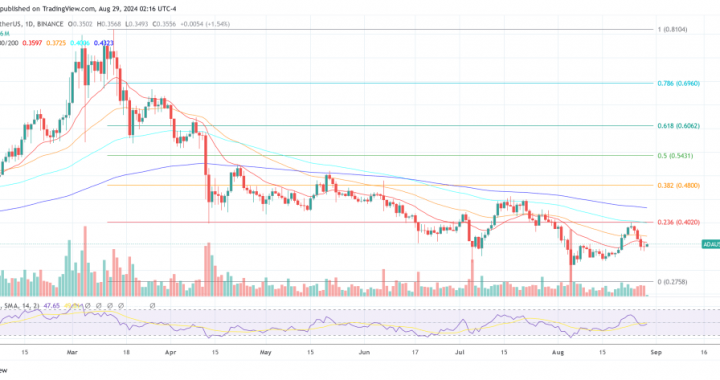 Cardano To Undergo Chang Hard Fork On September 1: What You Need To Know