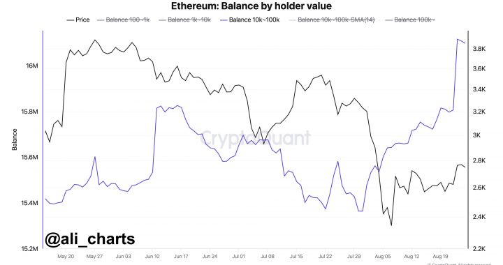 Ethereum Bullish Signal: Whales Show $530 Million Buying Spree