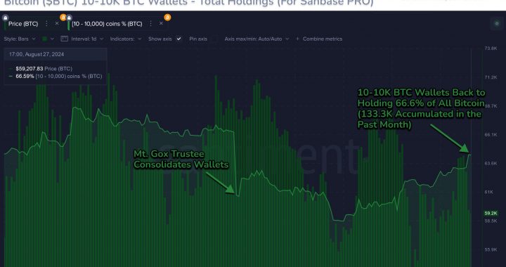 Bitcoin Sharks & Whales Unfazed By Sub-$60,000 Crash, Data Reveals