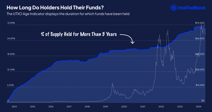 Bitcoin Diamond Hands Still Unbroken: 30.7% Of Supply Dormant For 5+ Years