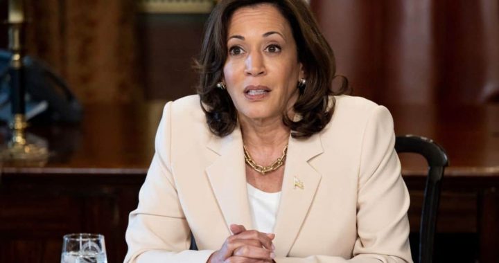 It’s Official: Harris Supports The Unrealized Capital Gains Tax