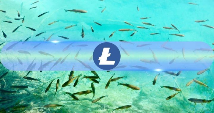 Small Litecoin (LTC) Fishes Are ‘Jumping Ship,’ Here’s What it Means