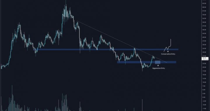 AVAX Retraces To Key Support Level: Expert Expects $32 Target By October