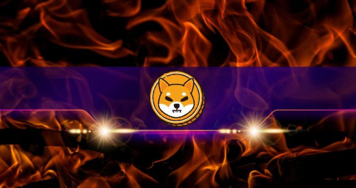 Shiba Inu Burn Rate Explodes by 140,000%: SHIB Price Rebound in the Cards?