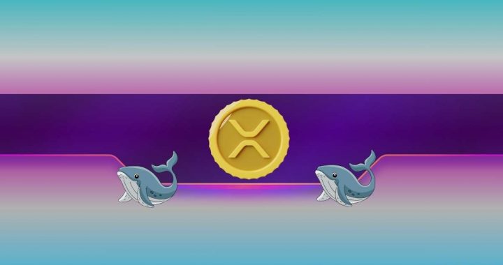 Ripple Whales on the Move: Is XRP Price Rally on the Horizon?