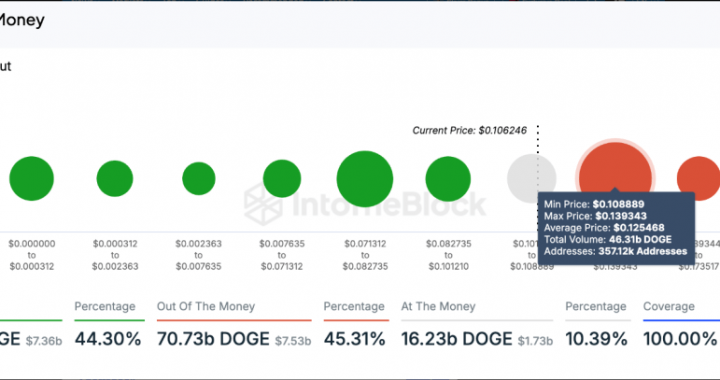 Dogecoin Rally: Over 70% Of Holders Enjoy Profit As Memecoin Climbs 9%