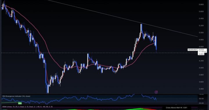 NEAR Testing Support After A 15% Retrace From Local Highs: Top Trader Shares Entry Opportunity