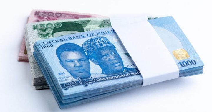 Nigerian Firms Forecast Further Naira Depreciation