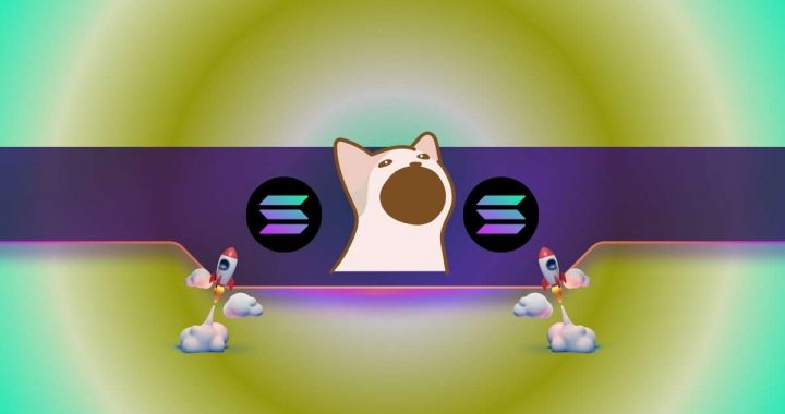 Solana Meme Coin Summer: Here’s Why Popcat Rules the 7-Day Charts
