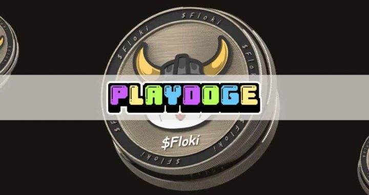 FLOKI Price Pumps 20% and Tops Crypto Gainers List While PlayDoge Enters Final Days of Presale