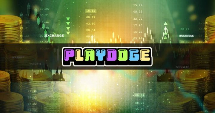 PlayDoge ICO Ends in Under 24 Hours – Could PLAY Explode After Exchange Listing?