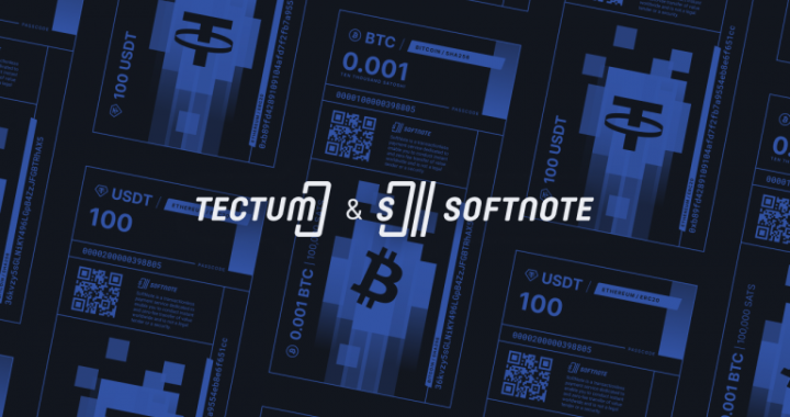 How to Make Bitcoin Spendable Again With Tectum Founder and Lead Architect Alex Guseff