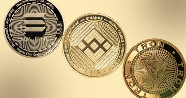 A Deep Dive Into the Top 10 L1 Chains by Daily Transfer Records