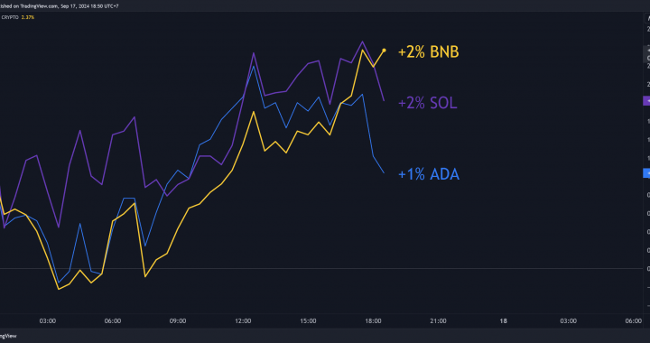BNB, SOL, ADA Price Predictions September 17th
