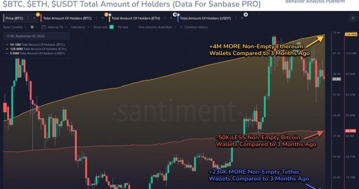 Ethereum Rockets Forward With 3.3% Network Growth While Bitcoin Goes Stale