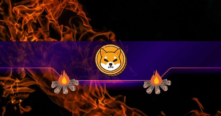 This Is How Many Shiba Inu (SHIB) Tokens Were Burned in August