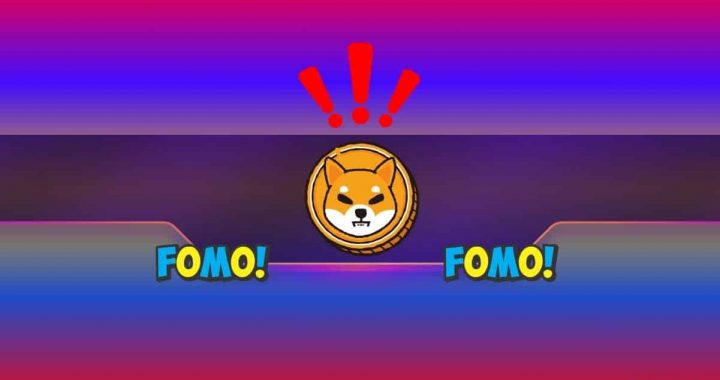 Shiba Inu (SHIB) Price Increased by 50% in the Past 9 Days, is a Correction Imminent?