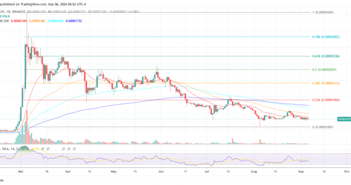 SHIB News: Shiba Inu Team Announces Two Major Milestones