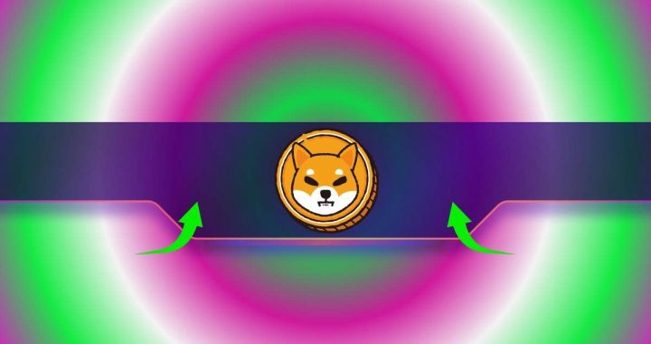 Key Shibarium Indicator Soars by 70% as the Shiba Inu (SHIB) Price Flashes Green: Details