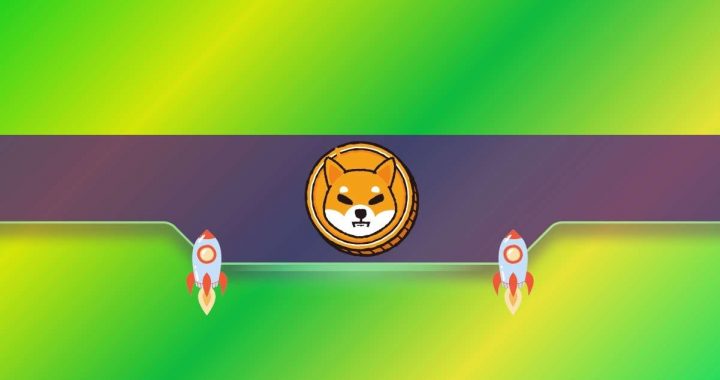 Why is the Shiba Inu (SHIB) Price Up Today?