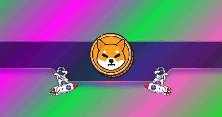 Is This Why Shiba Inu’s (SHIB) Price Soared 23% Daily? (Details)