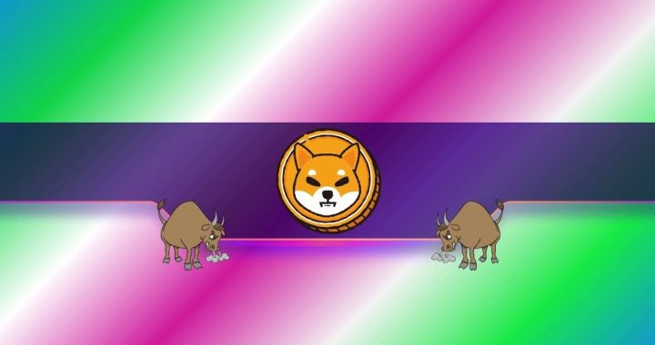 4 Bullish Shiba Inu Signals as the SHIB Price Taps a 3-Week High: Details