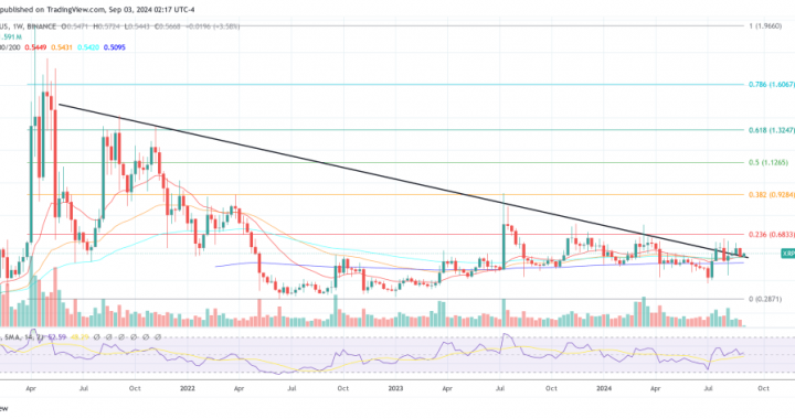 Ripple Unveils 2025 As Breakthrough Year For XRP Ledger’s Programmability