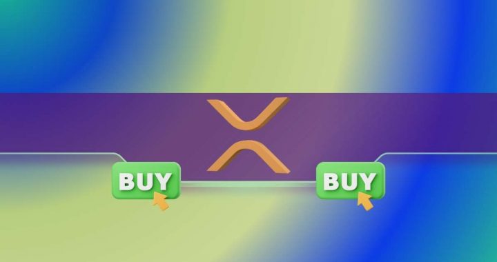 Why Did This Bitcoin Bull Buy a lot of Ripple (XRP) Now?