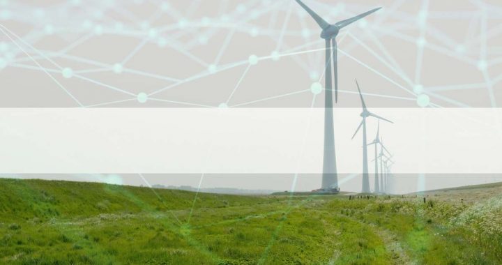 Flowcarbon Refunds Investors After Delays in Carbon Credit Token Launch: Report