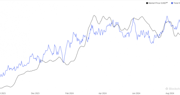 Bitcoin Hashrate Sets New ATH Despite Bearish Price: Miners Betting On A Rally?