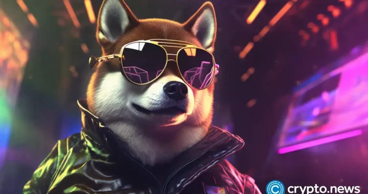 Shiba Inu burn rate grows as a rare risky pattern forms