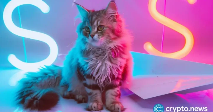 Catizen listing date nears as exchanges prepare for launch