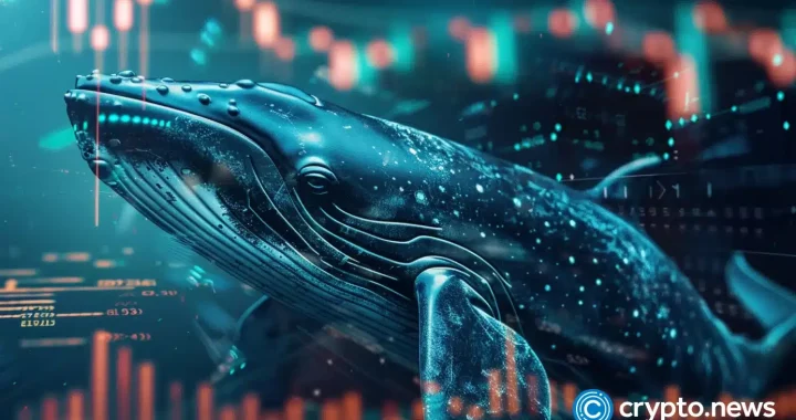 Whale buys 2,000 Bitcoin in 4 days, now holds $490m in BTC