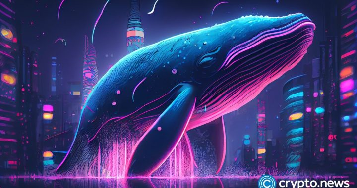 Whales migrate from SOL, SHIB to this fast-growing presale