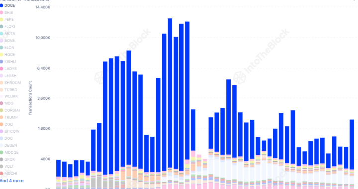 Dogecoin Network Sees Increased Activity – Will DOGE Hold $0.10?