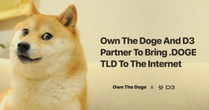 Own The Doge Partners With D3 To Apply For The .doge Top-Level Domain