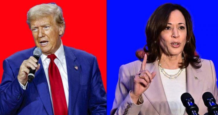 Trump Leads Harris by 7%, Wins Majority of Swing States, Polymarket Betting Shows