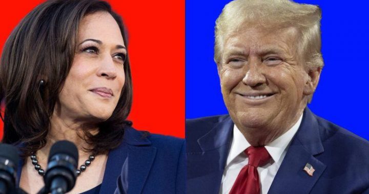Betting Markets and Polls Show Harris Ahead of Trump as Election Nears