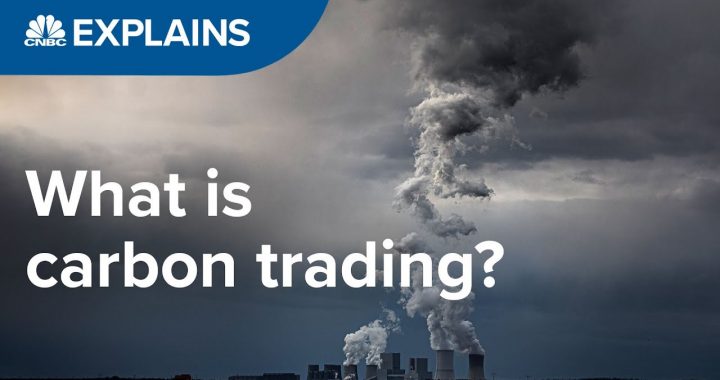 VeChain CEO Says Incentivizing EV Drivers For Reducing C02 Emissions  Is “Very Cheap” Because Of Smart contracts