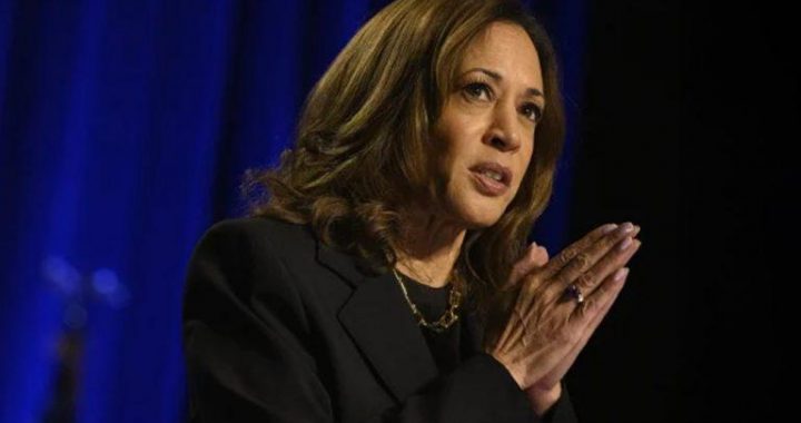 Kamala Harris’s Blockchain Comment Sparks Mixed Reactions in Crypto Community