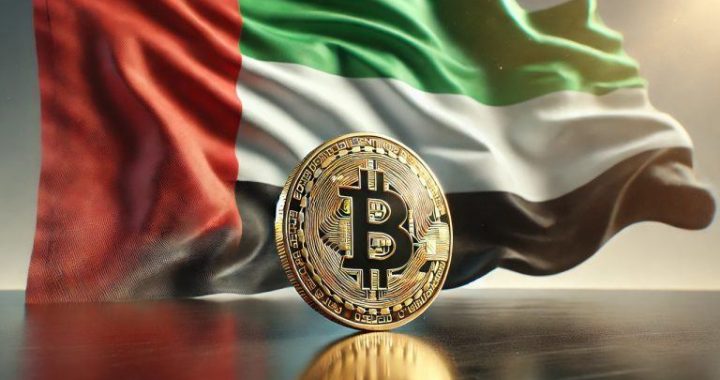 Regulators Partner to Bolster UAE’s Crypto Hub Status
