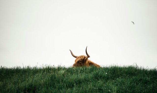 Bitcoin Bull Run To Peak In 2025? Blockchain Firm Predicts Cycle Timeline