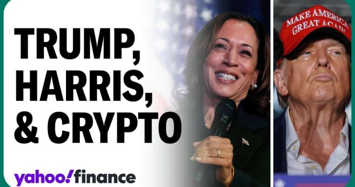 Bitcoin Price Action Is “Noise” And There is No Organic Demand From Google Search