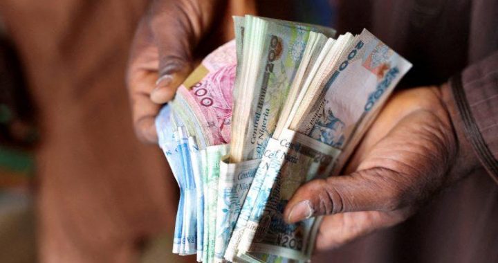 Nigerian Currency Plunges After Central Bank Rate Hike