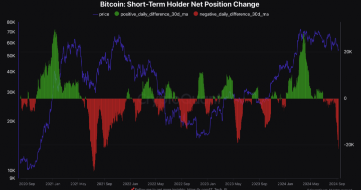 Bitcoin Capital Flow Shifts to Long-Term Holders, Data Shows — Is a Bullish Rally Coming?