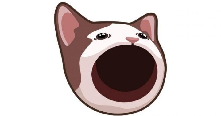 Crypto Analysts Say These are the Best Meme Coins to Buy for October: Popcat, Floki, Crypto All-Stars