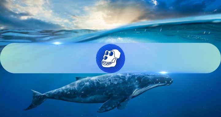 2,100% Surge in Whale ApeCoin Transactions, What About APE’s Price?
