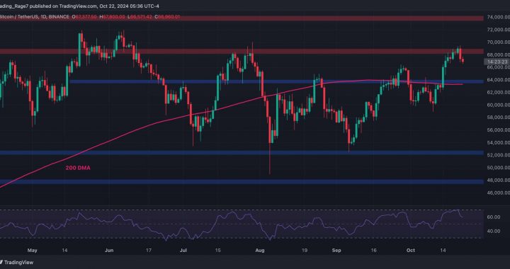 Bitcoin Price Analysis: What Are BTC’s Chances for New ATH After the Rejection at $69K?