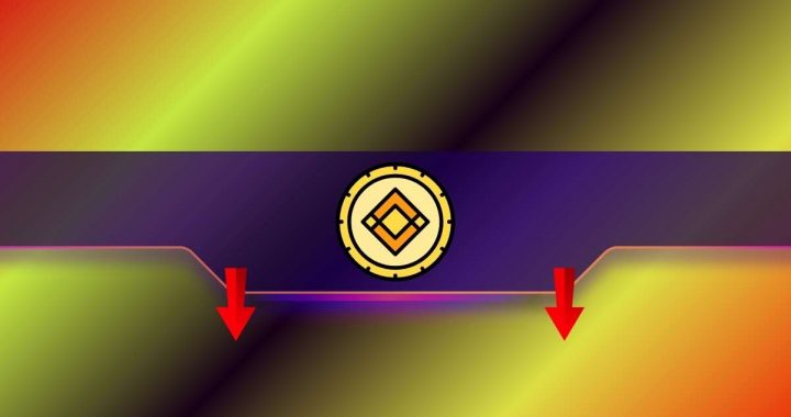 These Altcoins Crash by Double Digits Following Delisting From Binance: Details